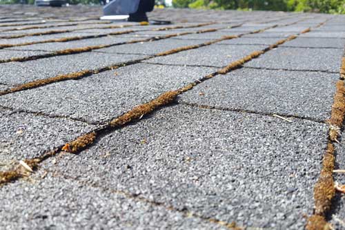 Professional Camas roof moss removal in WA near 98607
