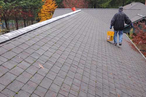 Camas roof washing Team in WA near 98607